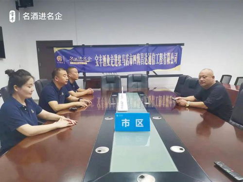 一連走進五家名企，寶豐酒業“走出去”戰略再添新篇章 信息技術咨詢服務助力企業騰飛